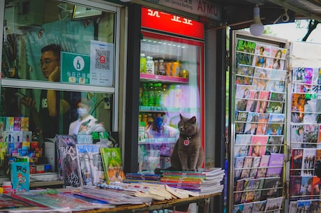 探秘三角梅，更美的风景在于路上