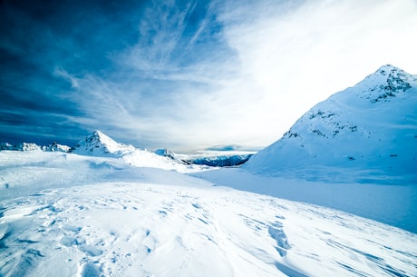 六月雪盆景：白雪皑皑 心静自然醒