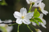 浣花溪公园(浣花溪公园—宁波的自然绿洲)